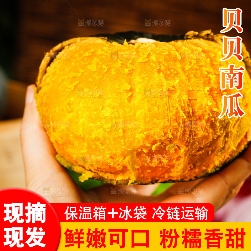 手里拿着板栗南瓜