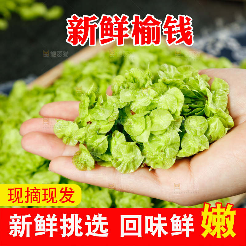 手里拿着榆钱