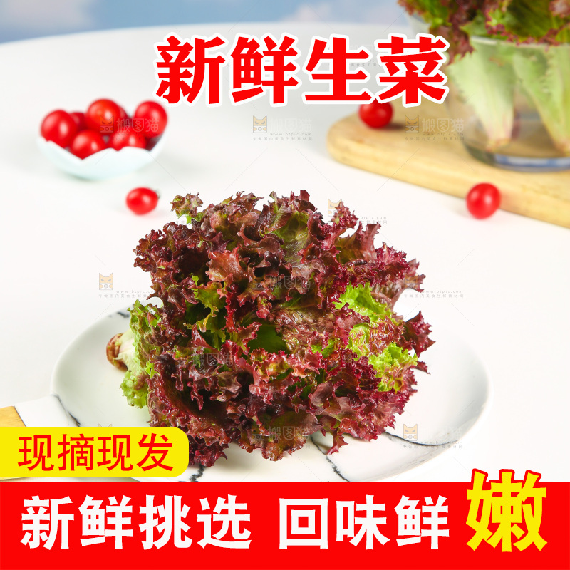 一盘红叶生菜