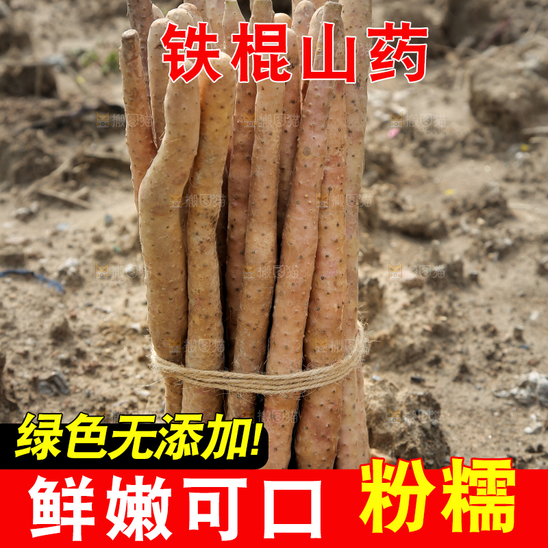 一捆铁棍山药