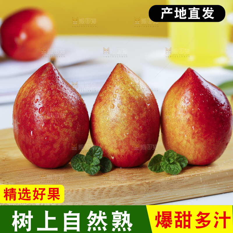 木底上的桃驳李
