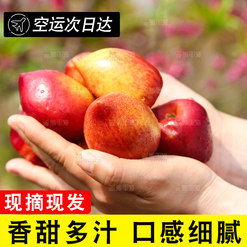 手里捧着新鲜桃驳李