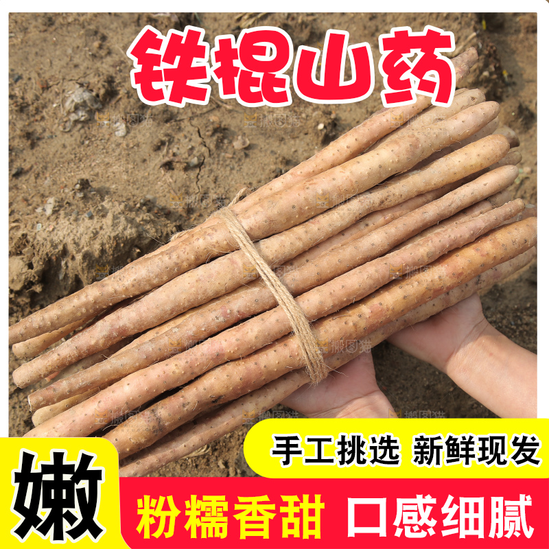 一捆铁棍山药