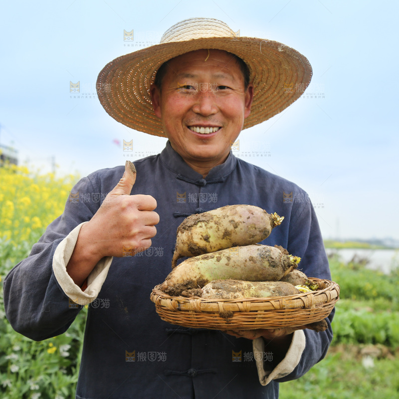 手里端着一篮冰激凌水果萝卜