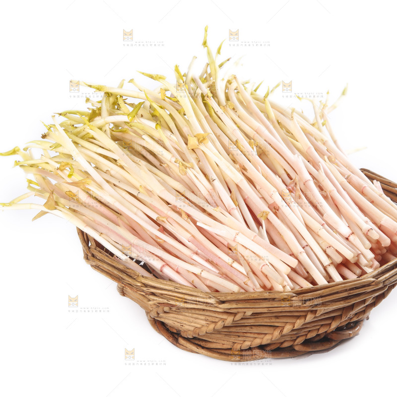 一篮折耳根嫩芽