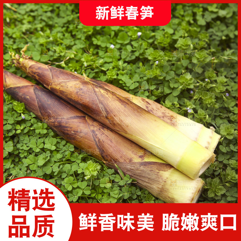 草里上放着春笋