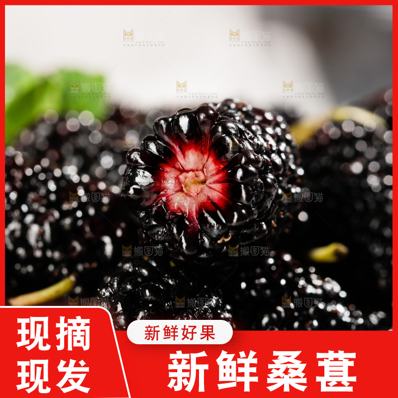 一堆黑桑葚
