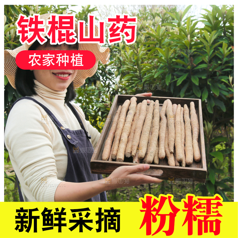 手里端着一盘铁杆山药