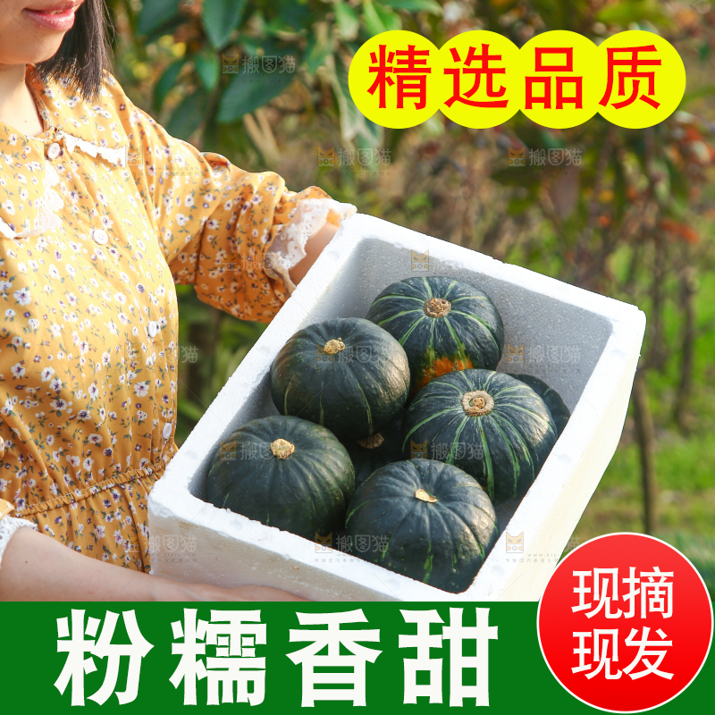 一箱贝贝小南瓜