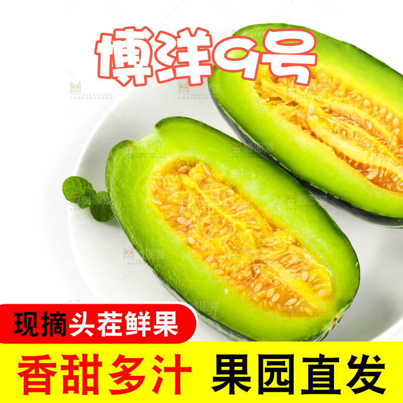 盘子里装着博洋9号