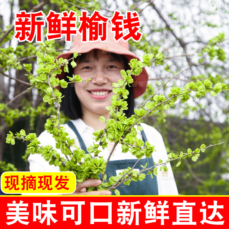手里拿着榆钱