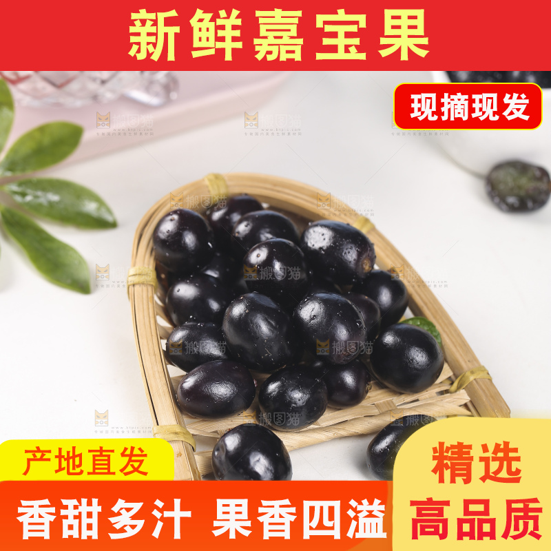新鲜的嘉宝果树葡萄