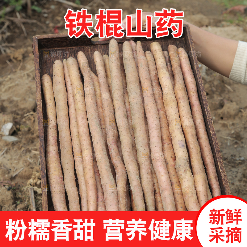 一盘铁棍山药