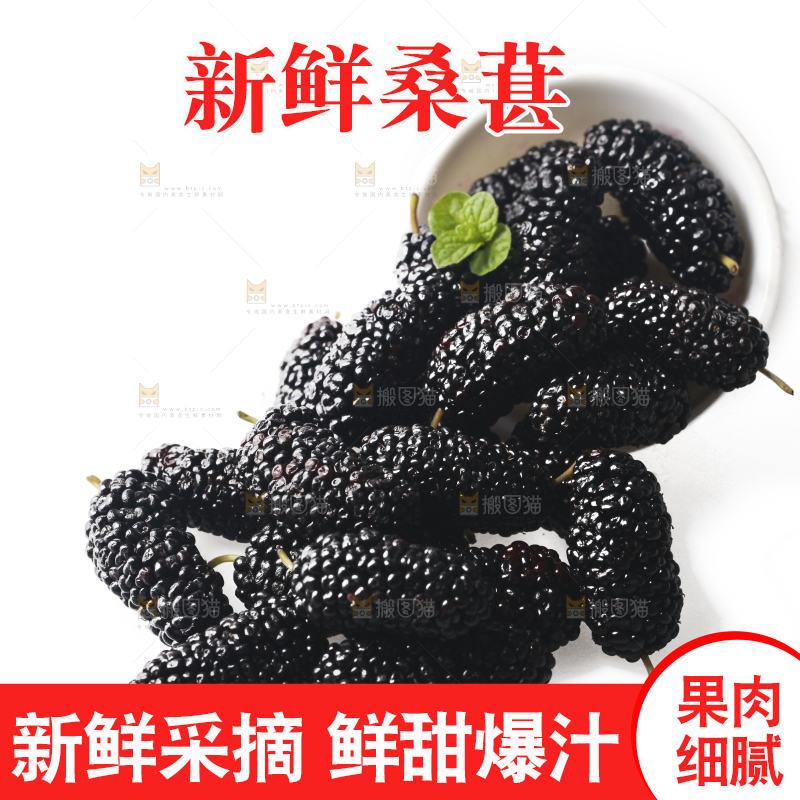 白底上的桑枣