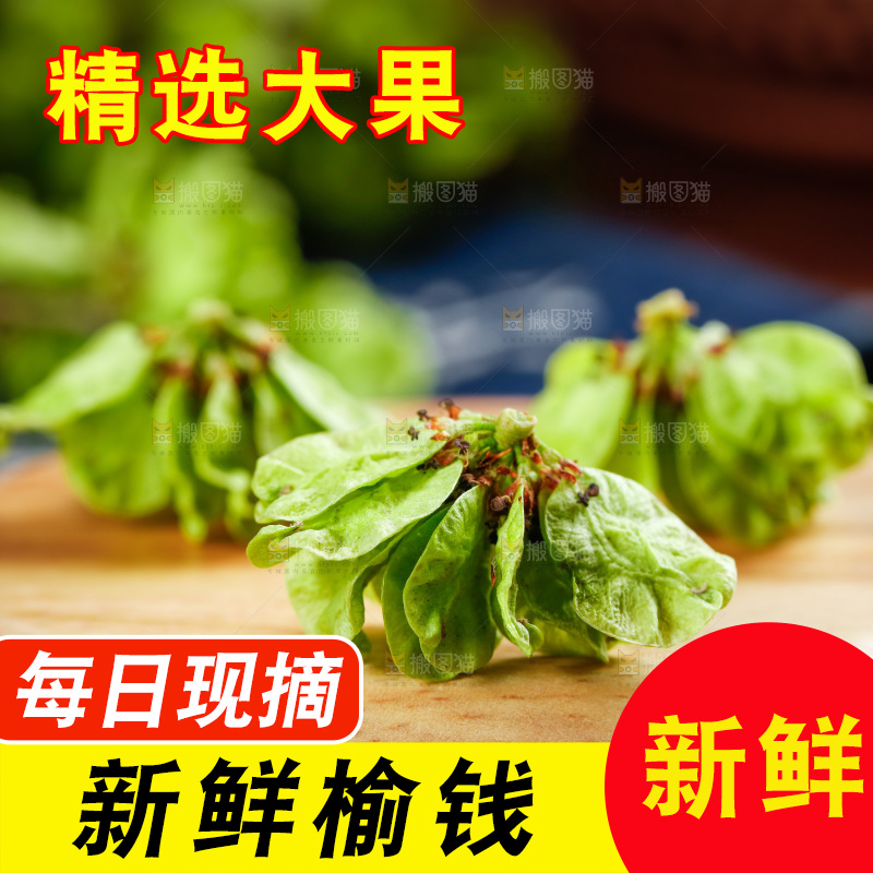 木底上的榆钱儿