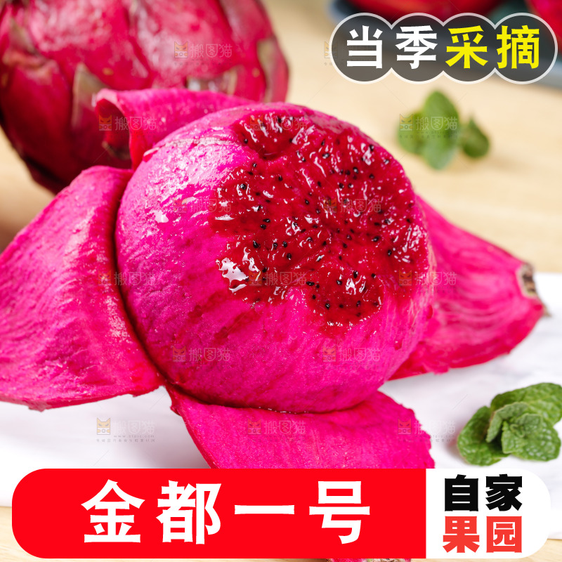 新鲜的金都一号红心火龙果