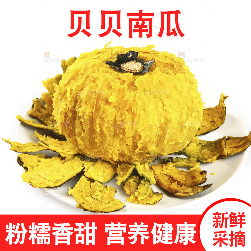 盘子里的贝贝小南瓜