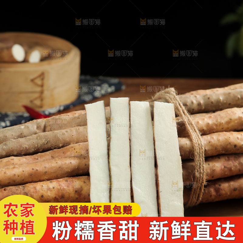 一盘铁棍山药