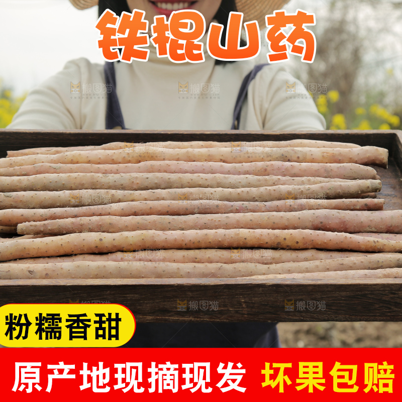 手里端着一盘铁杆山药