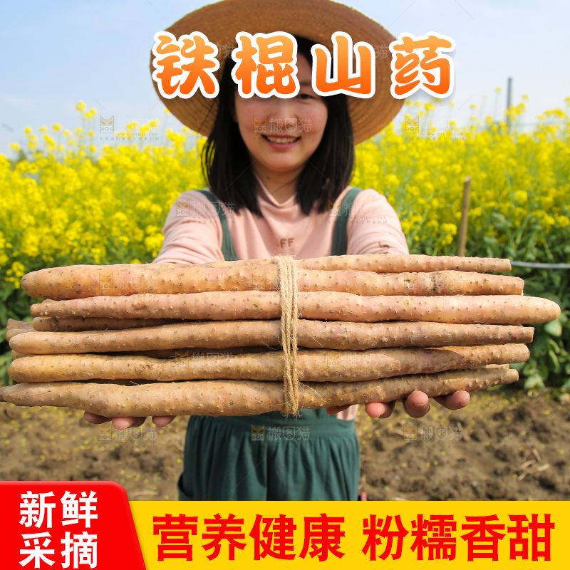 手里拿着铁棍山药