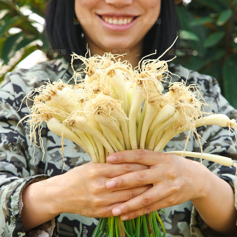手里拿着四川带叶藠头