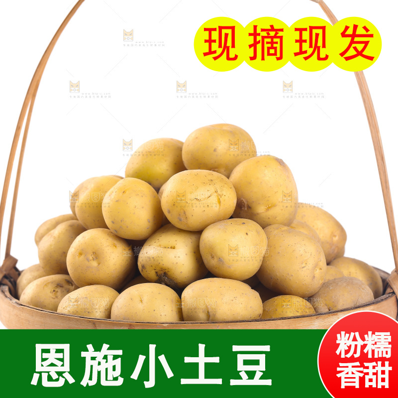 一篮小土豆