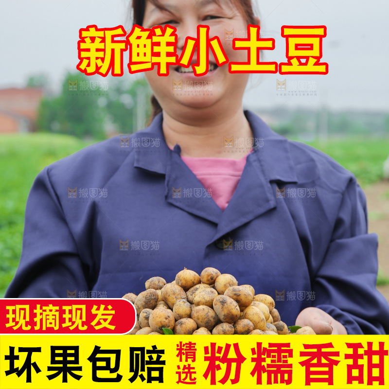 手里端着一篮恩施小土豆
