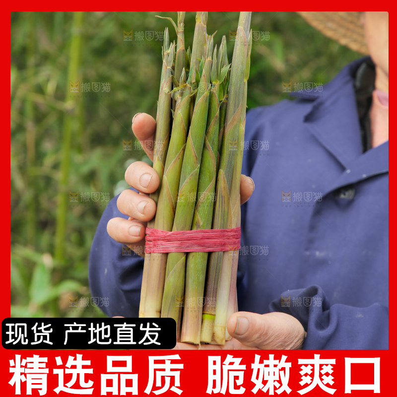 手里拿着带壳小竹笋