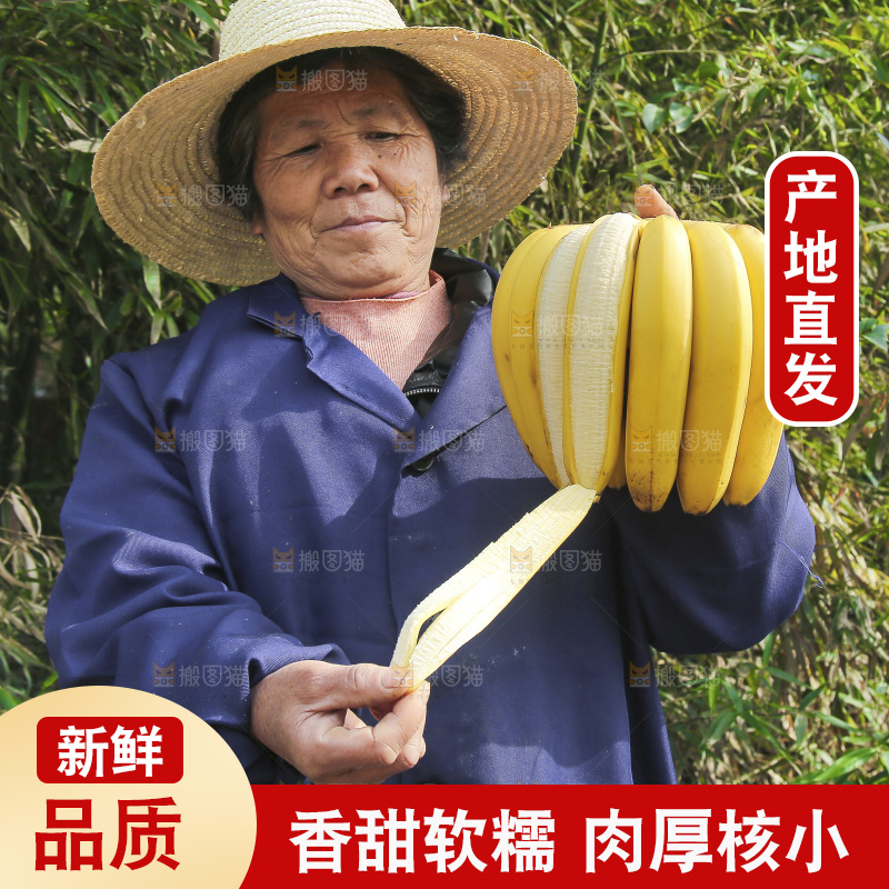 手里拿着香蕉