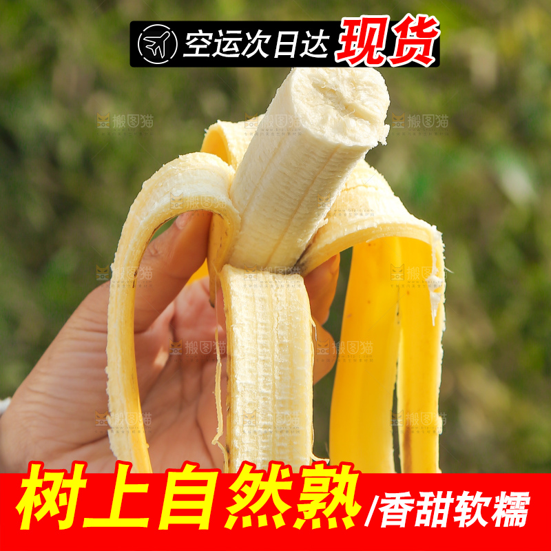 手里拿着香蕉