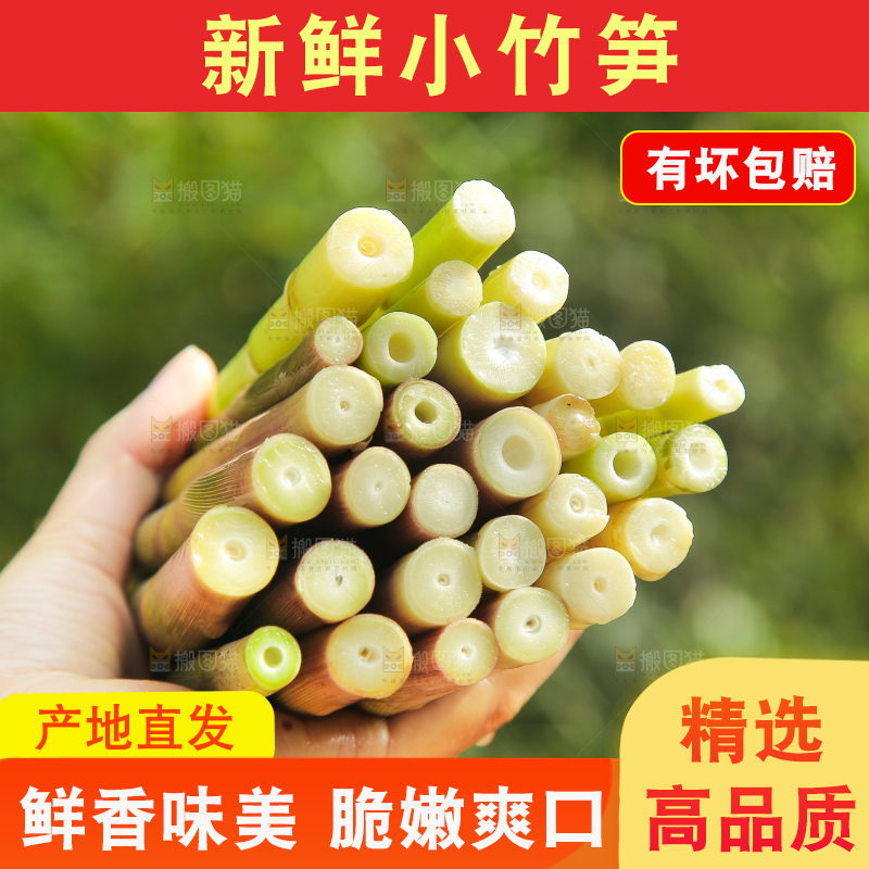 手里拿着小竹笋