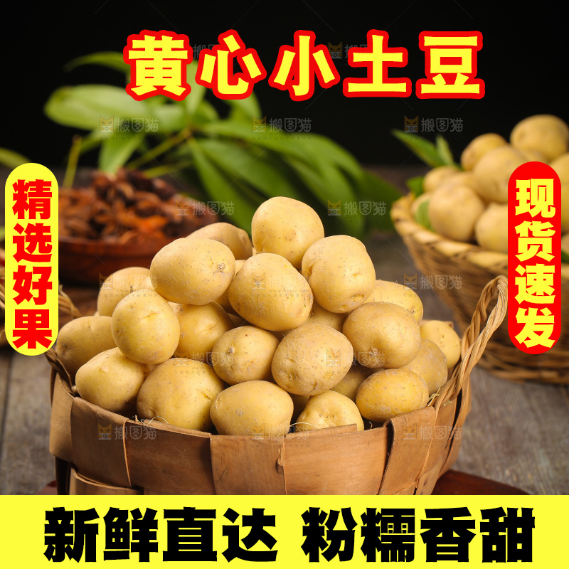一篮黄皮小土豆