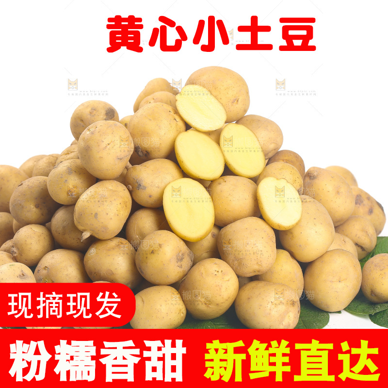 一堆小土豆