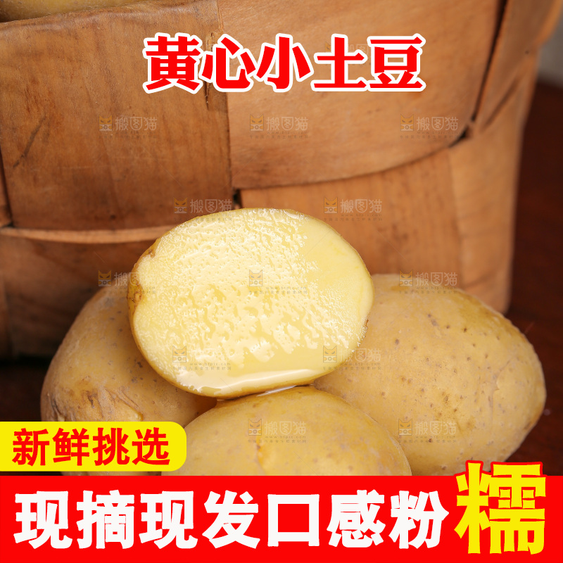 一堆黄心小土豆