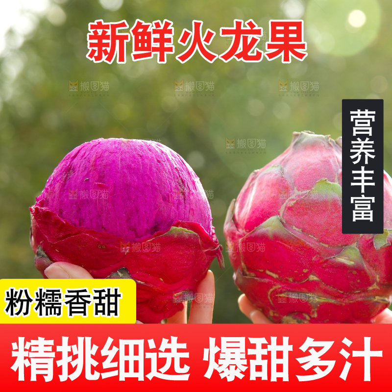 手里拿着红心火龙果
