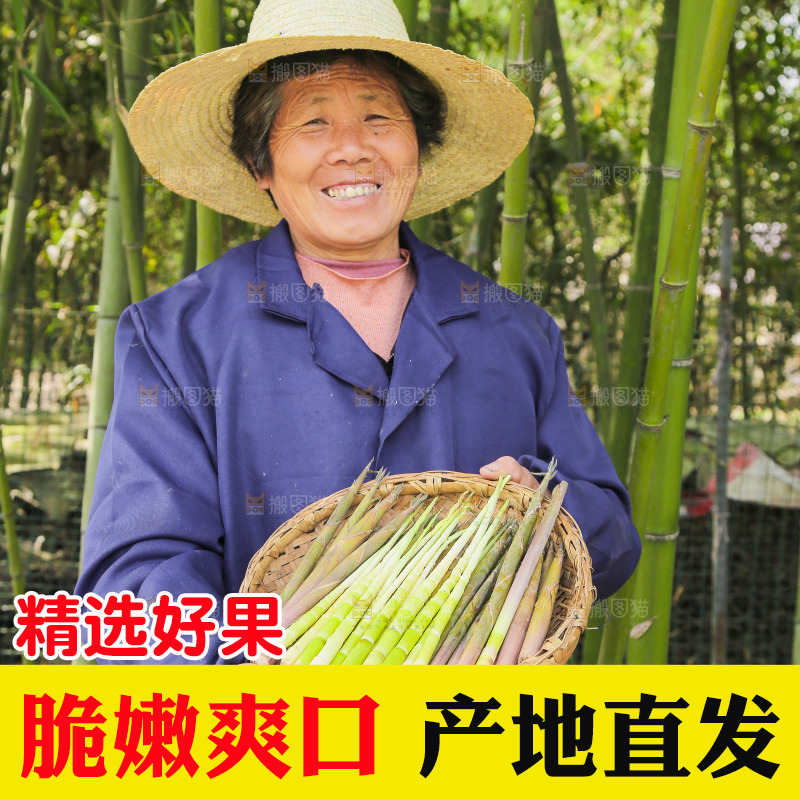 手里端着一篮小竹笋