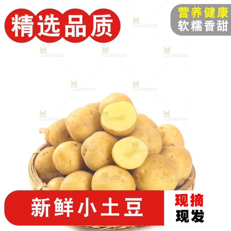 一篮小土豆