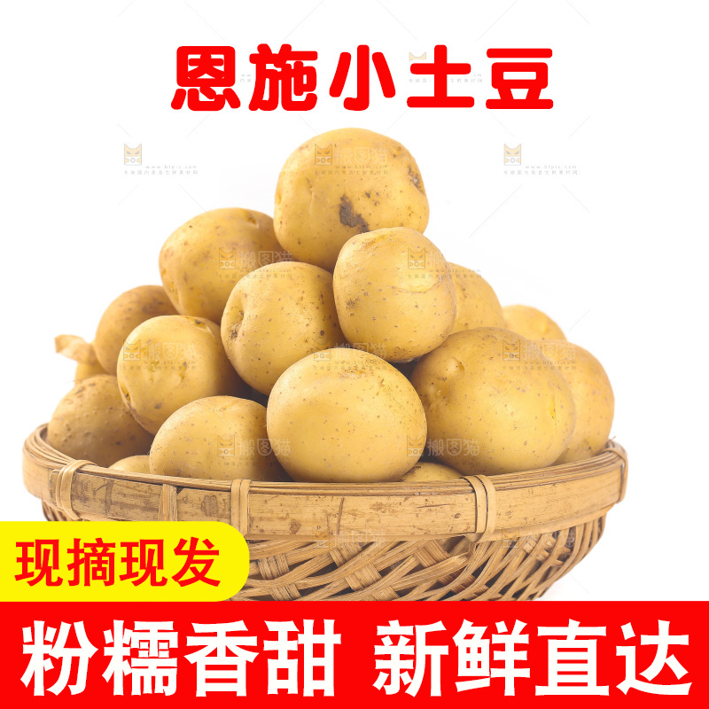 一篮小土豆