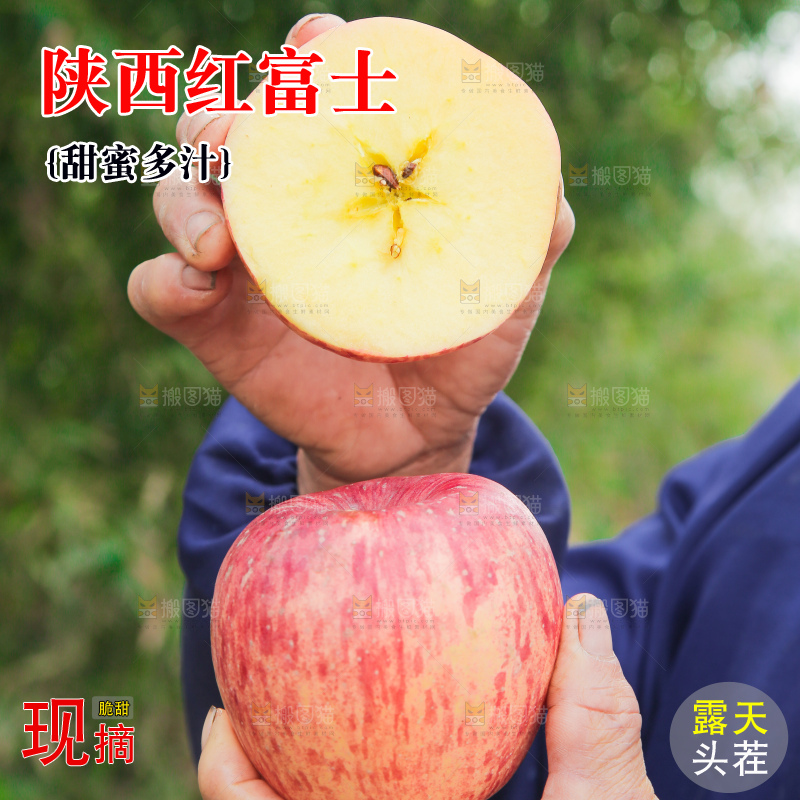 手里拿着烟台红富士