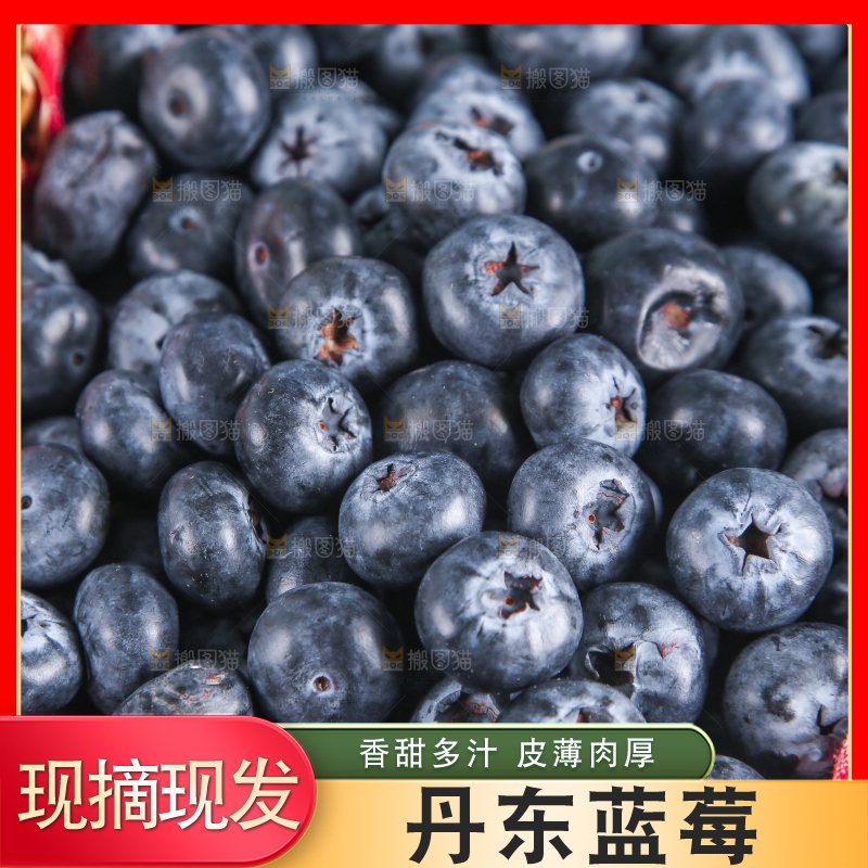 一篓新鲜蓝莓