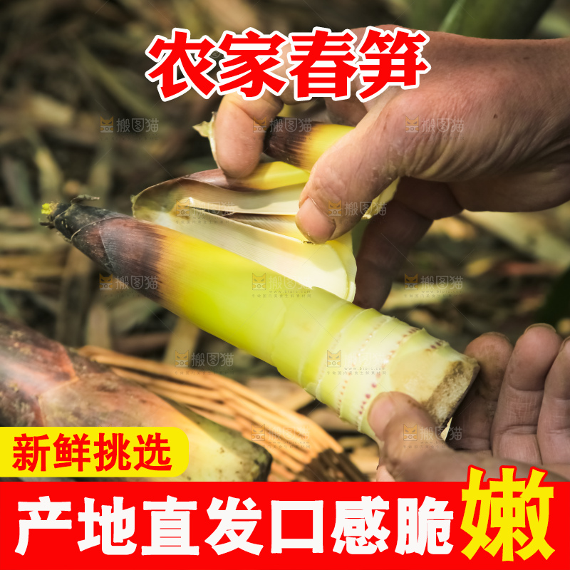 手里剥春笋