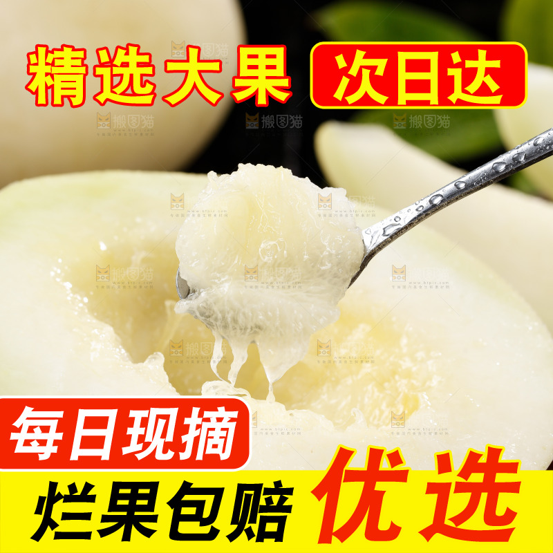 勺子上舀着阎良甜瓜果肉