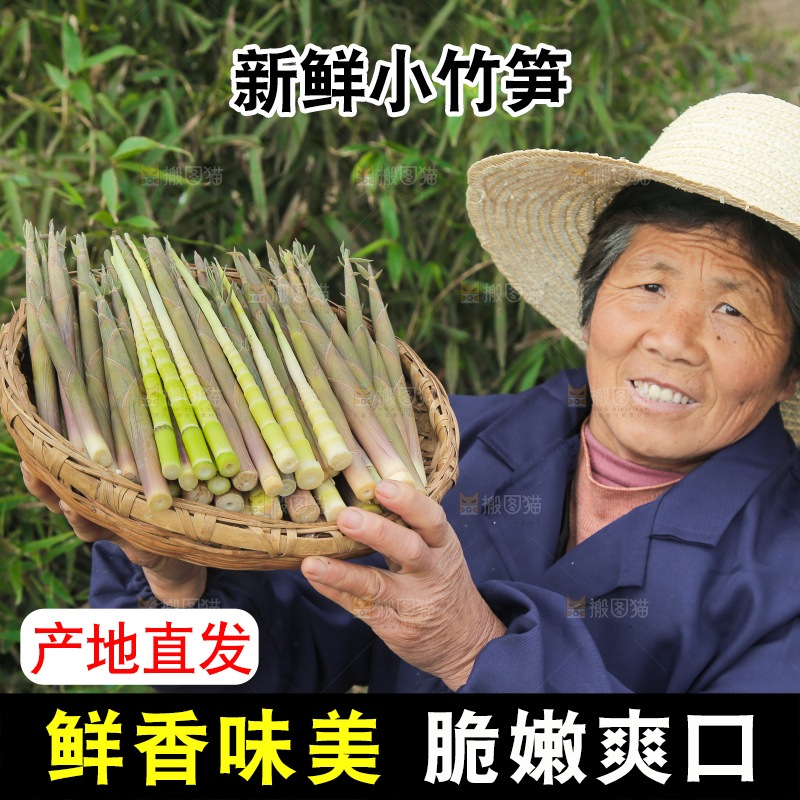 农民手里端着一篮小春笋
