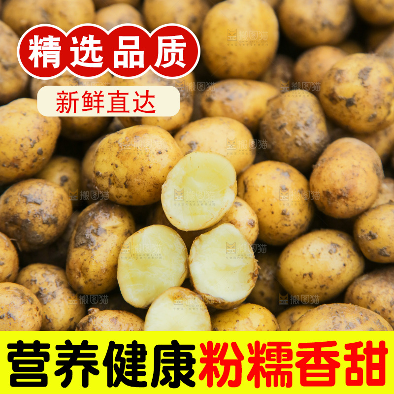小土豆纹理