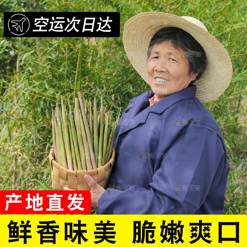 农民手里端着一篮小山笋