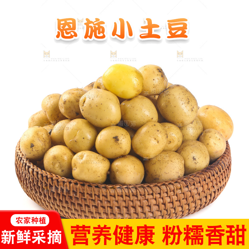 一篮小土豆