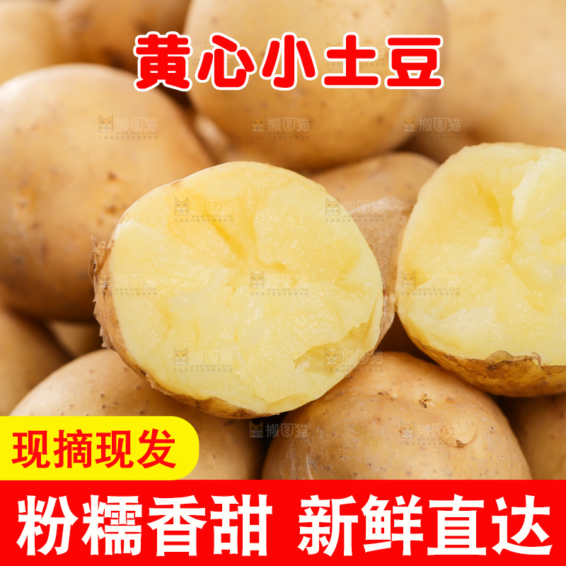 小土豆纹理