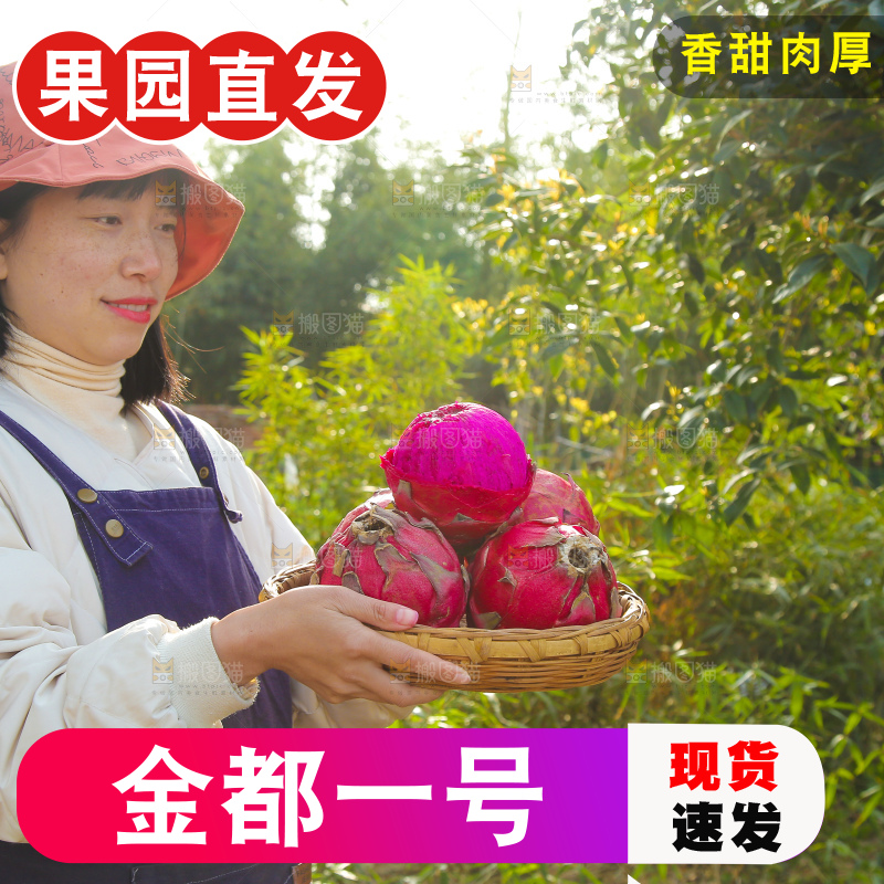 手里端着一篮红心火龙果