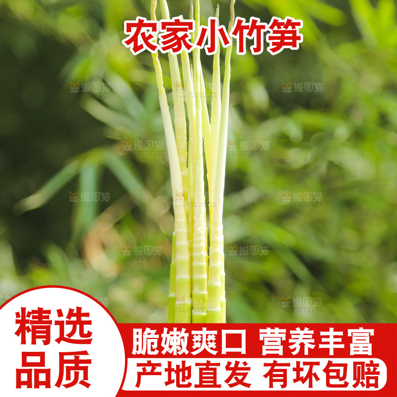 手里拿着去皮的小竹笋