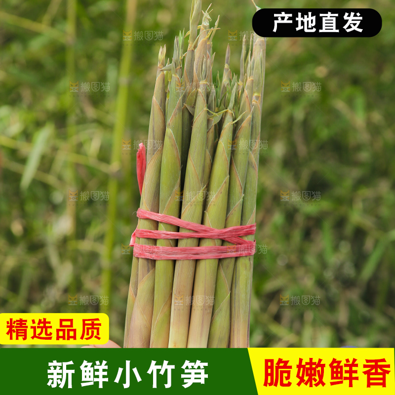 手里拿着小竹笋